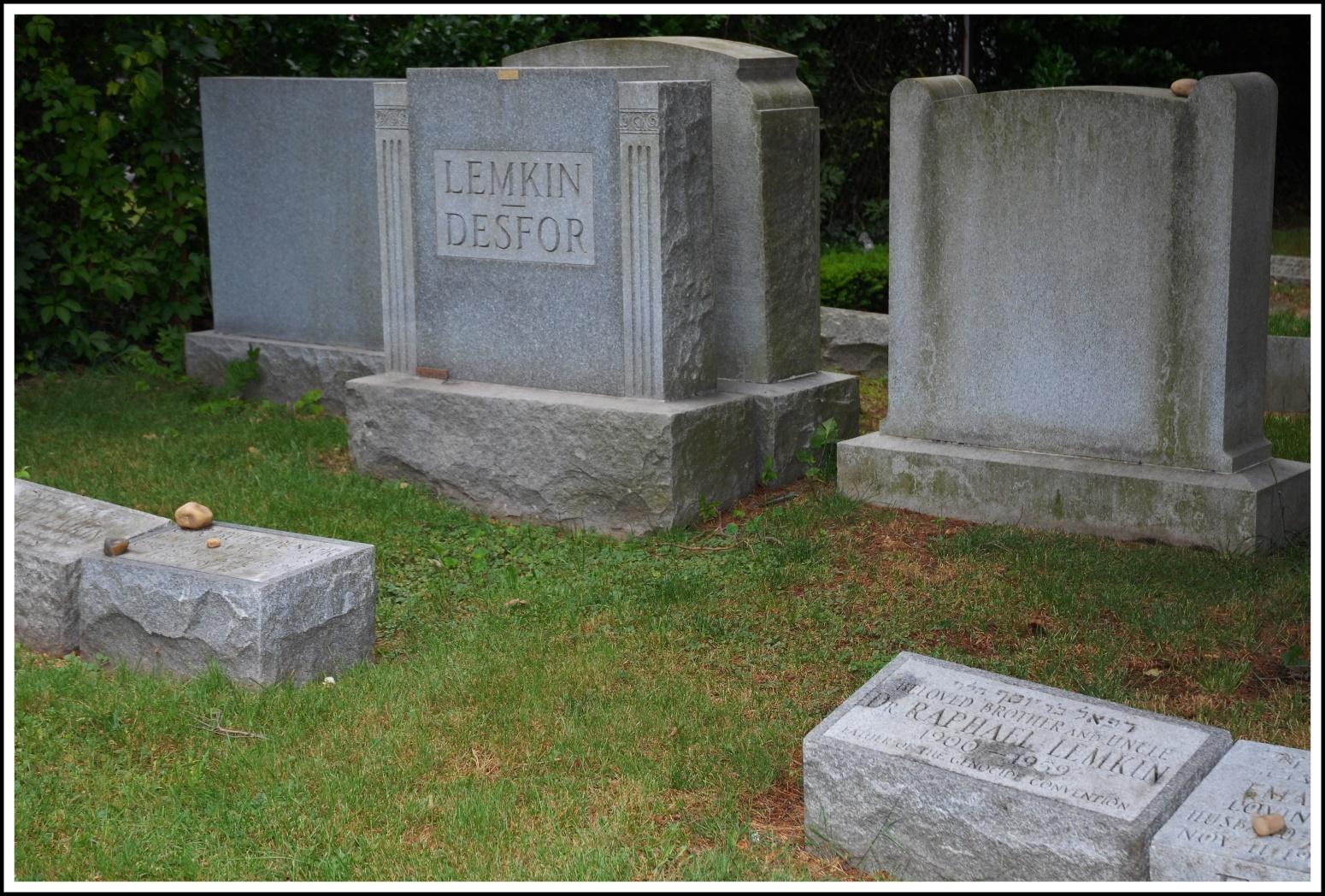 A group of tombstones in a grassy area

Description automatically generated with medium confidence
